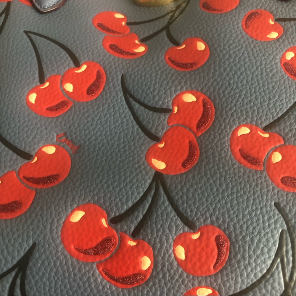 NWT $350 COACH Willow Cherry-Print Leather Tote Bag! - Picture 13 of 16